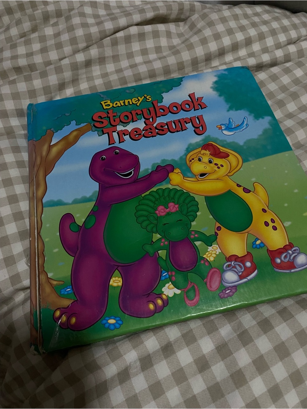 Barney Book